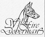 wildfirenu