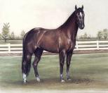 horsenu
