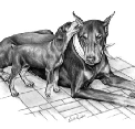 RooLexi