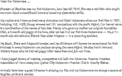 Enter the Dobermans …
